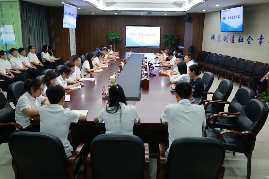 引领数智 启航未来丨热烈祝贺公司财务一体化系统成功上线